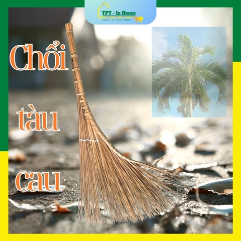 Chổi tàu cau