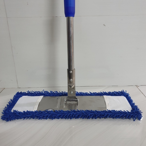 Cây lau bẹ công nghiệp san hô