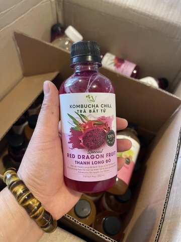 Kombucha chill thanh long 250ml