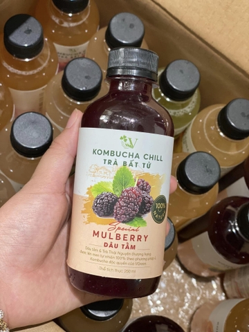 Kombucha chill dâu tằm 250ml