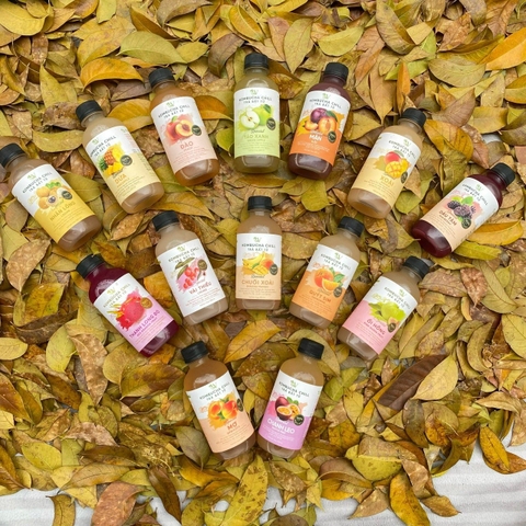 Kombucha chill nhãn lồng 250ml