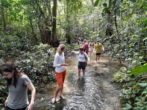 Cuc Phuong National Park 1 Day Exploration Tour