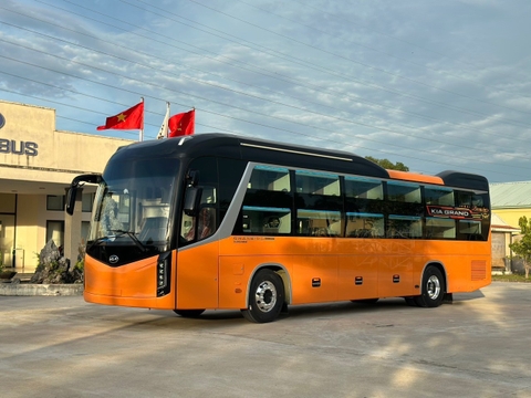 Cat Ba to Da Nang Bus | VIP 24-Seater Cabin + Shared Limousine from Hue to Da Nang