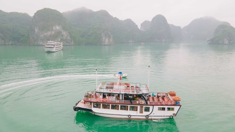 4-star Daiichi Cruise | Day Cruise in Lan Ha Bay