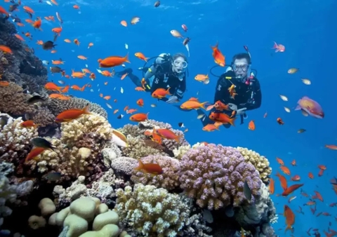 SNORKELING TOUR - Snorkeling (1 time) – Lunch