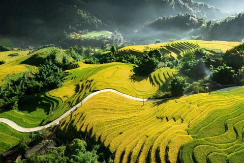 One Day Sapa Hiking Tour: Y Linh Ho - Lao Chai - Ta Van