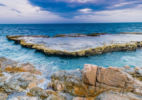 Nha Trang Tour - Sheep Meadow – Hy Bay – Grape Garden – Hang Rai (lunch included)