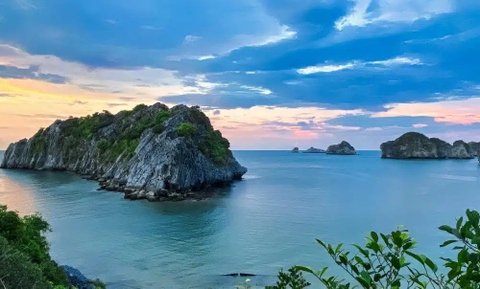 Morning Tour in Lan Ha Bay | 4-star Daiichi Cruise