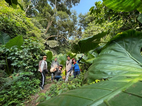 One Day Trekking Cat Ba National Park | Departure from Cat Ba