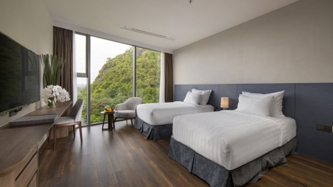 Premier Mountain View