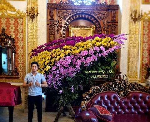 Lan hồ điệp lũa - HDL 005