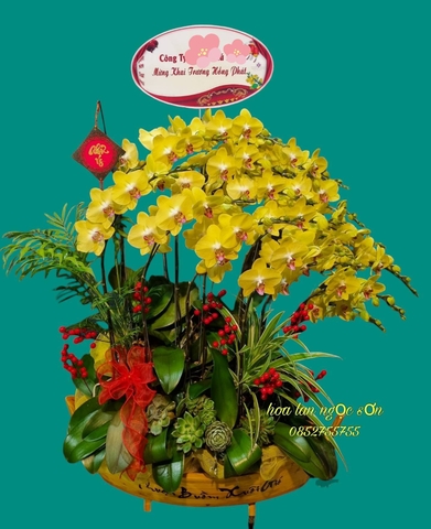 Chậu lan hồ điệp thuyền gỗ - LT 014