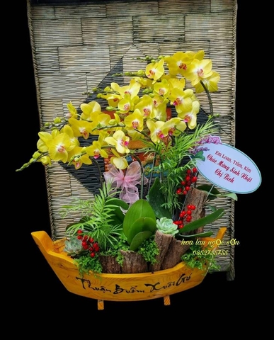 Chậu lan hồ điệp thuyền gỗ - LT 011