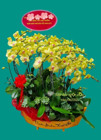 Chậu lan hồ điệp thuyền gỗ - LT 009