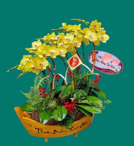 Chậu lan hồ điệp thuyền gỗ - LT 008