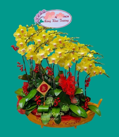 Chậu lan hồ điệp thuyền gỗ - LT 007