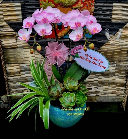 Chậu lan hồ điệp mini - HDM 001