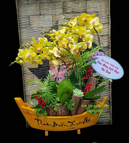 Chậu lan hồ điệp thuyền gỗ - LT 004