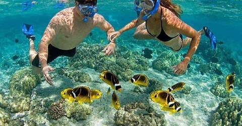 Cham Island Sightseeing And Snorkeling Tour