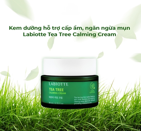 Kem Dưỡng Tràm Trà