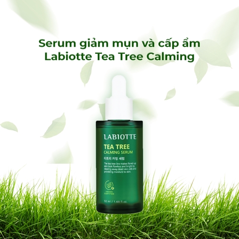 Serum Giảm Mụn Và Cấp Ẩm