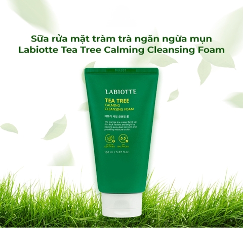 Sữa Rửa Mặt Tràm Trà ( Ngăn ngừa mụn)