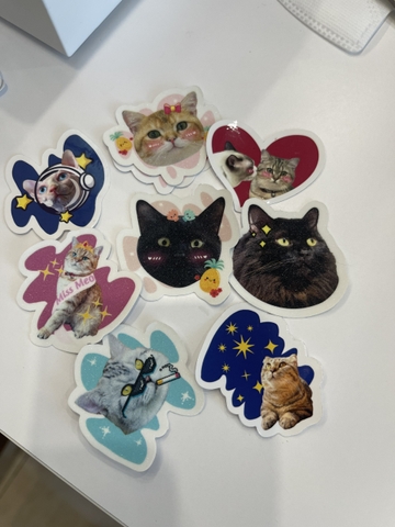 Combo sticker hình mèo nhà Geisha