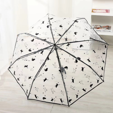 Ô trong suốt họa tiết hình mèo