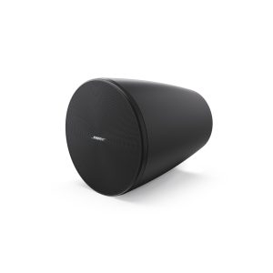 Loa DesignMax DM6PE