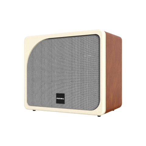 Loa di động xách tay PARAMAX Evox