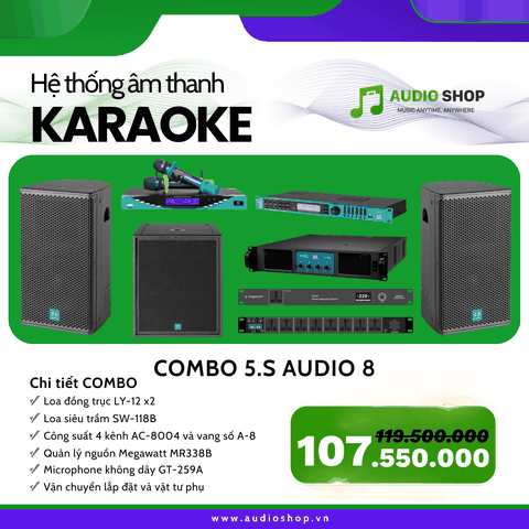 Combo Karaoke 5.S Audio 08