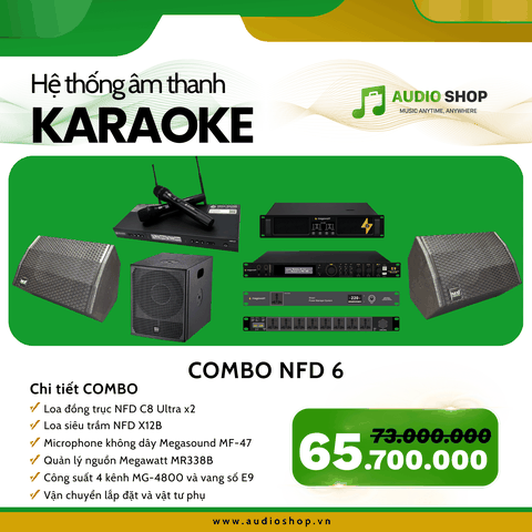 Combo Karaoke NFD 06