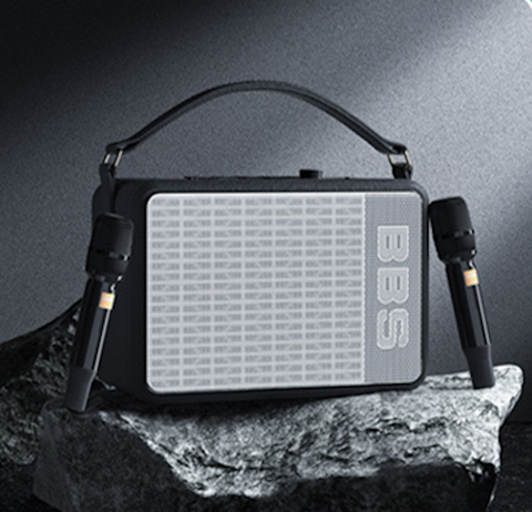 Loa bluetooth karaoke di động BBS P6 - Kèm 2 tay micro