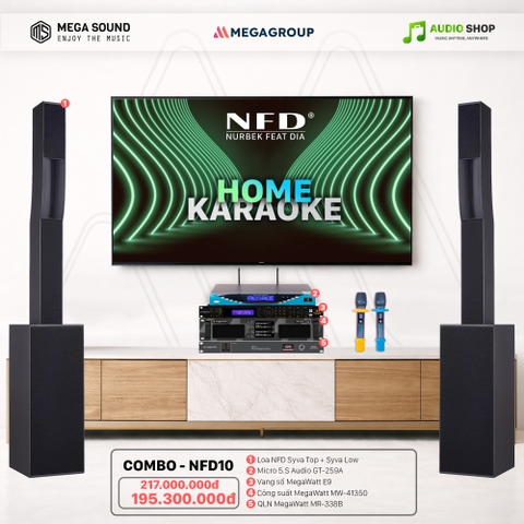 Dàn karaoke NFD Audio - Combo - NFD10