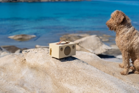 AUDIO PRO T3+ PETER EUGÉN