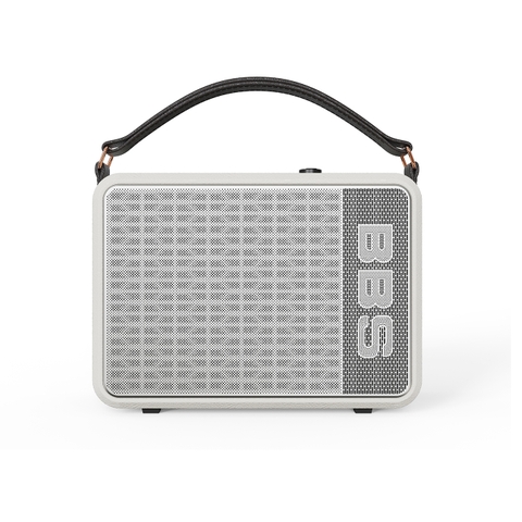 Loa bluetooth karaoke di động BBS P6 - Kèm 2 tay micro