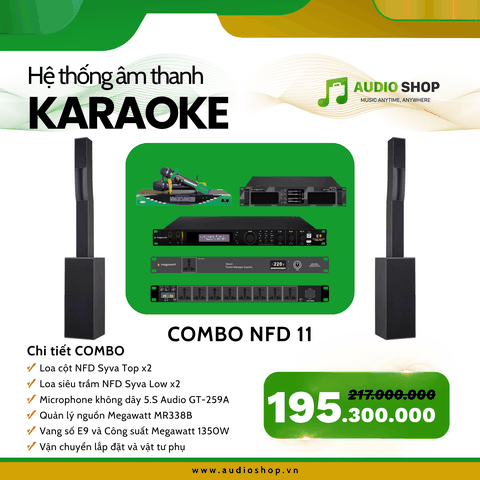 Combo Karaoke NFD 11