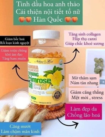 Viên Uống Tinh Dầu Hoa Anh Thảo Hàn Quốc Gamma Linolenic Acid Evening Primrose Oil 1001mg(Hộp VÀNG 300 Viên)
