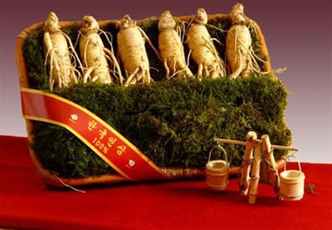 Sâm tươi Hàn Quốc cỡ 6 củ/kg loại VIP