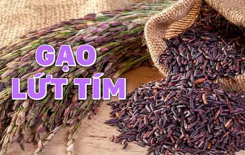 Công dụng của gạo lứt tím hữu cơ và cách nấu gạo lứt tím