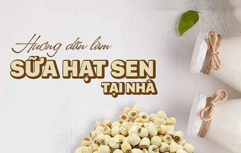 Hướng dẫn cách làm sữa hạt sen ngon mê ly ngay tại nhà