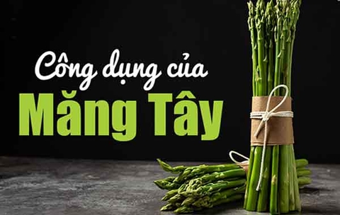 Tìm hiểu măng tây có tác dụng gì với sức khỏe?