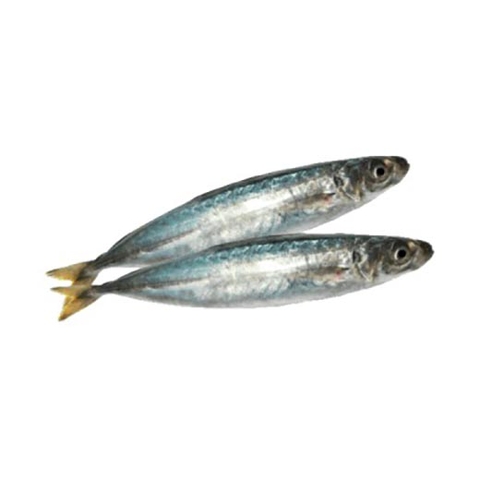 Cá nục