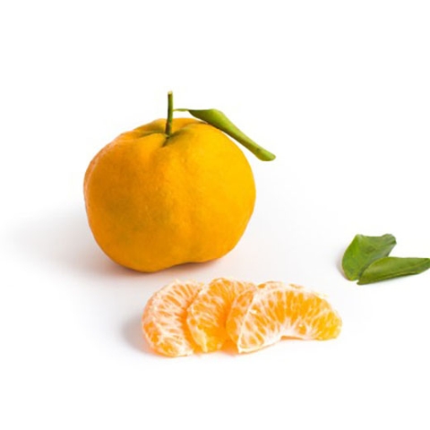 Quýt hữu cơ