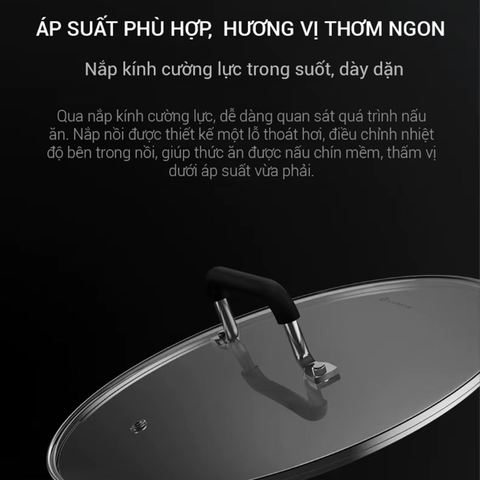 Nồi hợp kim nhôm Lumias LMP-002CM