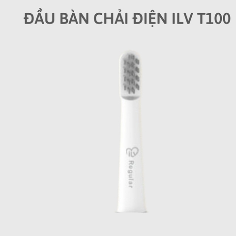 Đầu bàn chải thay thế cho bàn chải điện ILV T100 (1 chiếc)