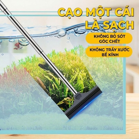 Chổi quạt nước, gạt bụi kính, gương ô tô, vệ sinh bể cá