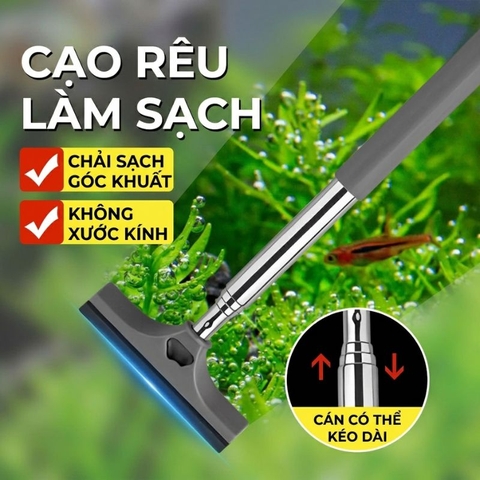 Chổi quạt nước, gạt bụi kính, gương ô tô, vệ sinh bể cá
