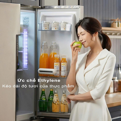 Máy lọc không khí khử mùi tủ lạnh thông minh EraClean CW-BS01