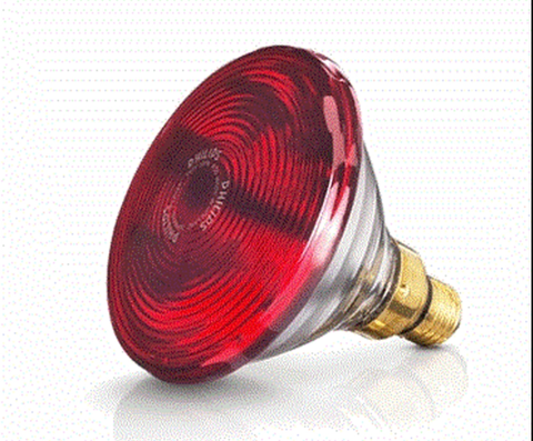 Bóng đèn hồng ngoại Philips 150W PAR38 IR E27